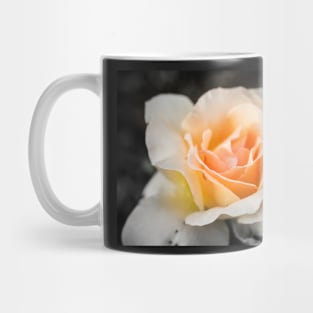 Centre Glow Mug